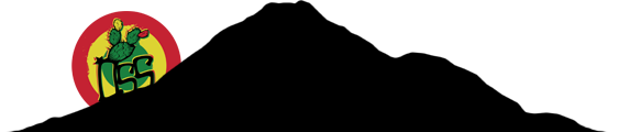 Monte Etna con Logo OSS